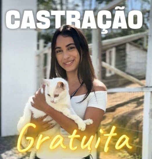 Castração Gratuita Prefeitura Itapoá para os cadastrados no cadunico