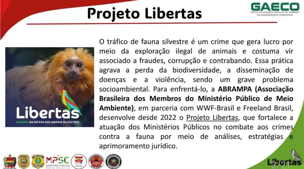 projeto-libertas