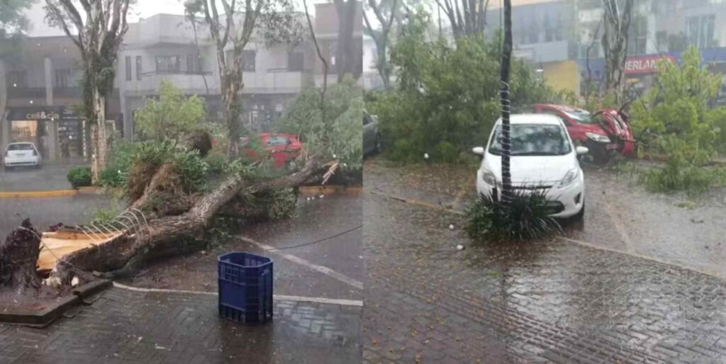 Desastres ambientais causados pelo ciclone na região oeste do estado