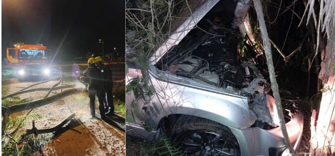 Colagem queda de árvore + acidente