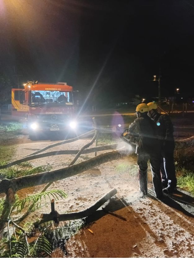 Queda-arvore-barra-do-sai