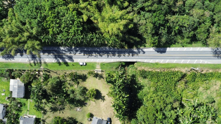 Recuperação de ponte altera o tráfego na PR-408 em Morretes a partir desta terça-feira (4)