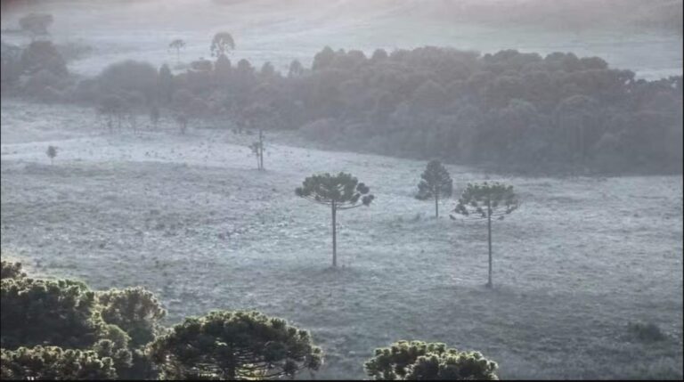 Frio fora de época provoca geada e muda a paisagem na Serra catarinense