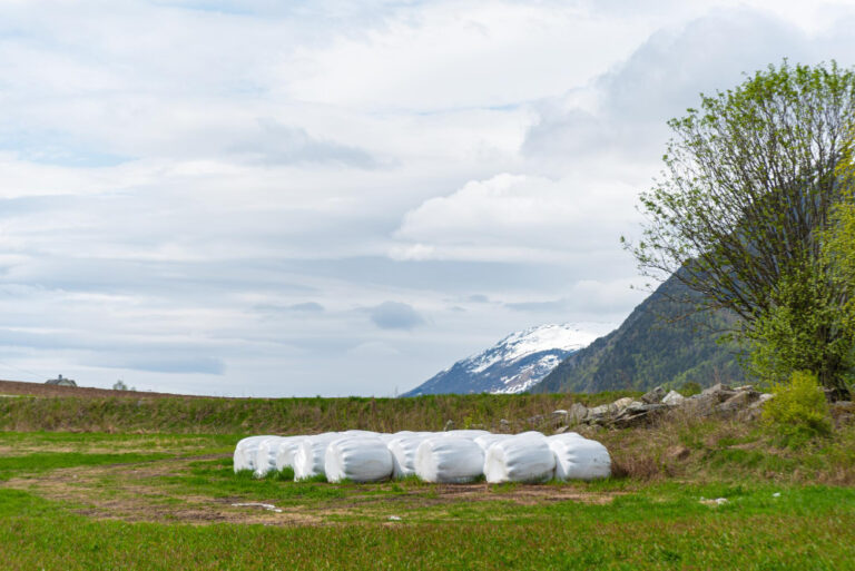 Carreta com carga de algodão que seguia para Itapoá tomba em rodovia no Mato Grosso do Sul