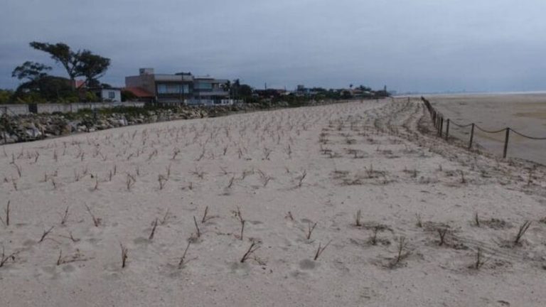 Alargamento de praia em Itapoá: entenda o impacto ambiental e econômico do maior projeto do país